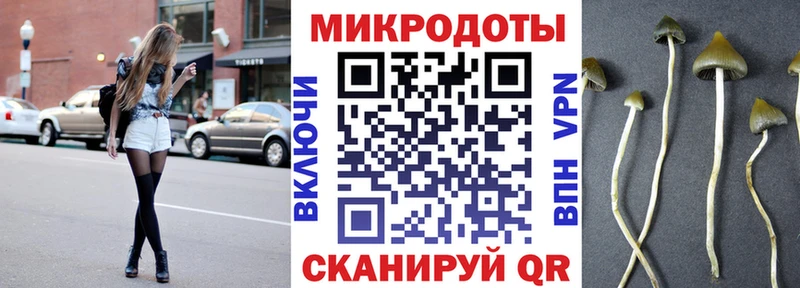 купить Юрюзань даркнет как зайти Галлюциногенные грибы Cubensis